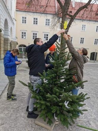 IMG-20211125-WA0007_ergebnis