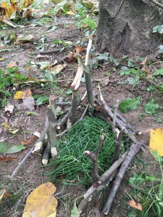 WhatsApp-Image-2022-10-04-at-14.46.32_ergebnis