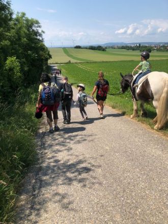 WhatsApp-Image-2023-06-14-at-16.03.24_ergebnis