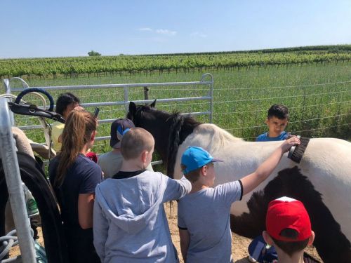 WhatsApp-Image-2023-06-14-at-16.03.29_ergebnis