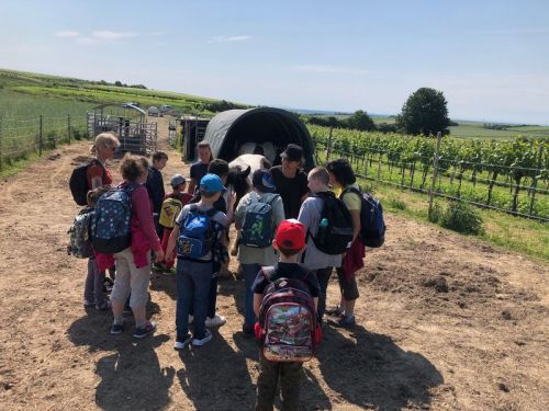 WhatsApp-Image-2023-06-14-at-16.03.31_ergebnis