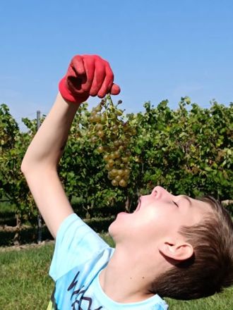 WhatsApp-Image-2023-09-29-at-12.08.22_ergebnis