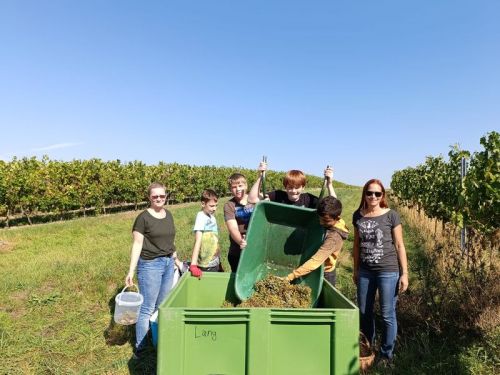 WhatsApp-Image-2023-09-29-at-12.08.52_ergebnis