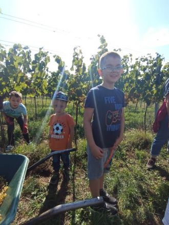 WhatsApp-Image-2023-09-29-at-12.09.46_ergebnis