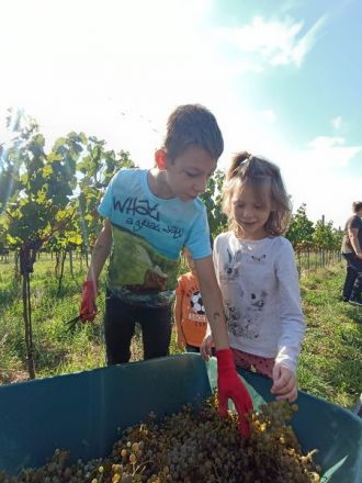 WhatsApp-Image-2023-09-29-at-12.09.56_ergebnis