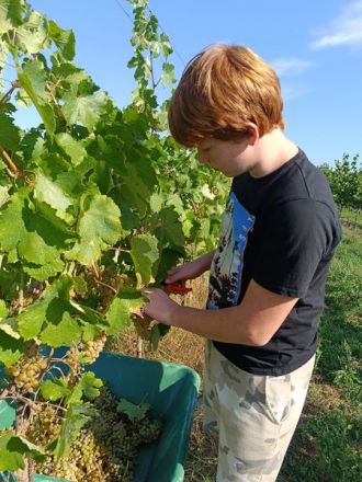 WhatsApp-Image-2023-09-29-at-12.10.21_ergebnis