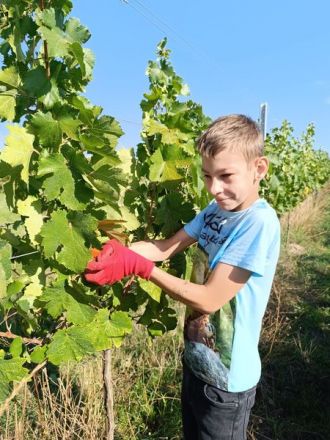 WhatsApp-Image-2023-09-29-at-12.10.23_ergebnis